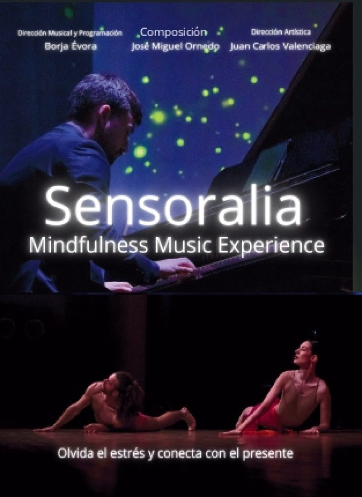 Sensoralia Mindfulness Music Experience