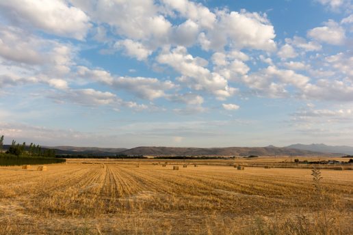 Descubre la Moraña: Historia, Gastronomía y Naturaleza en Ávila